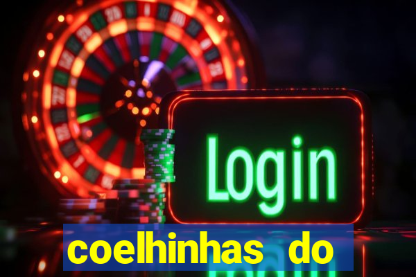 coelhinhas do brasil site